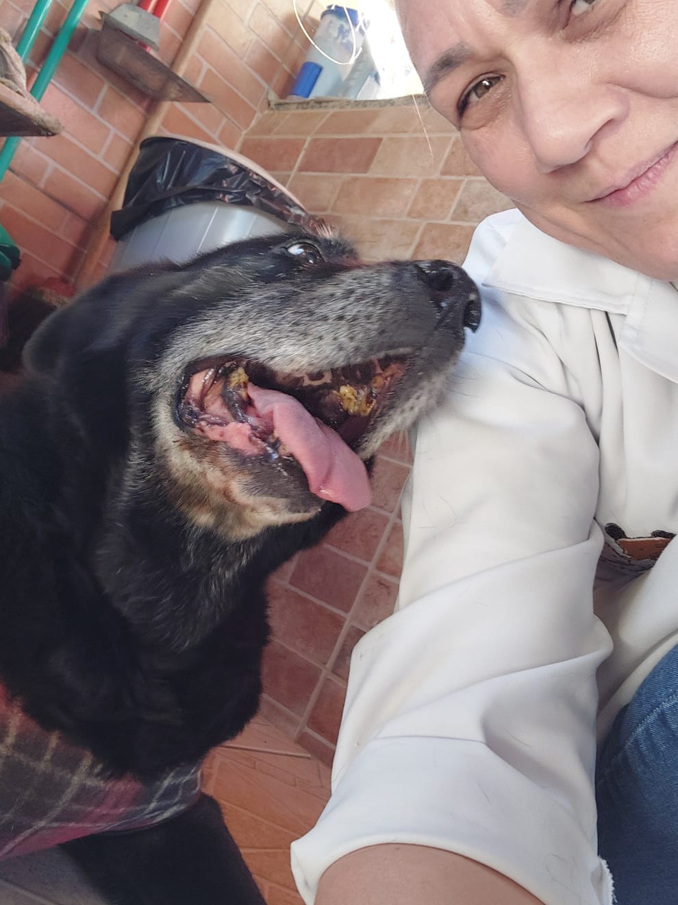Dra. Patrícia Wong com um pet